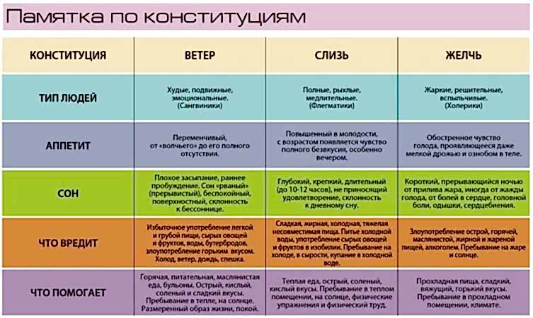 Типы конституции